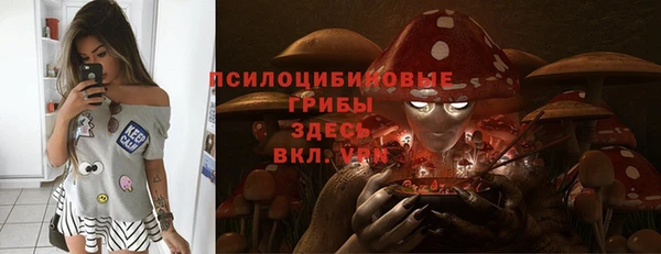 прущие грибы Абаза