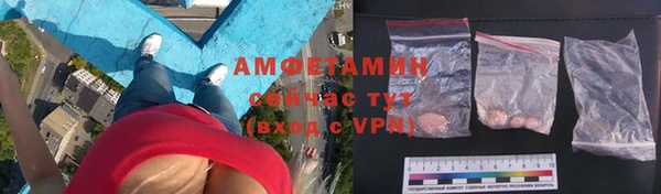 прущие грибы Абаза