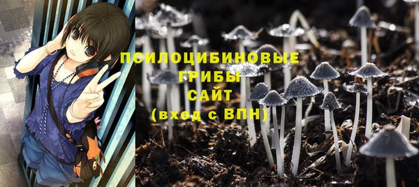 бошки Корсаков