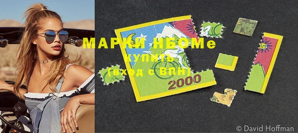 прущие грибы Абаза