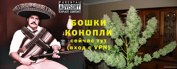 прущие грибы Абаза