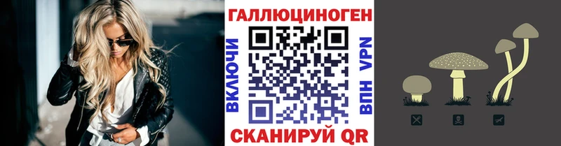 Галлюциногенные грибы Psilocybine cubensis  Александров 