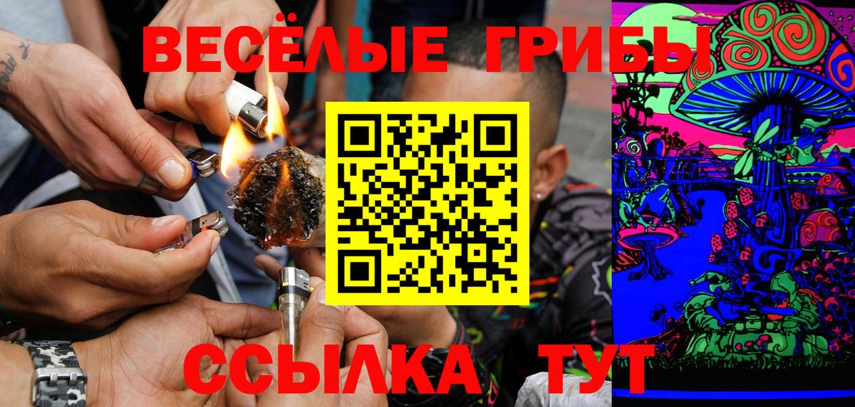 Псилоцибиновые грибы прущие грибы Александров
