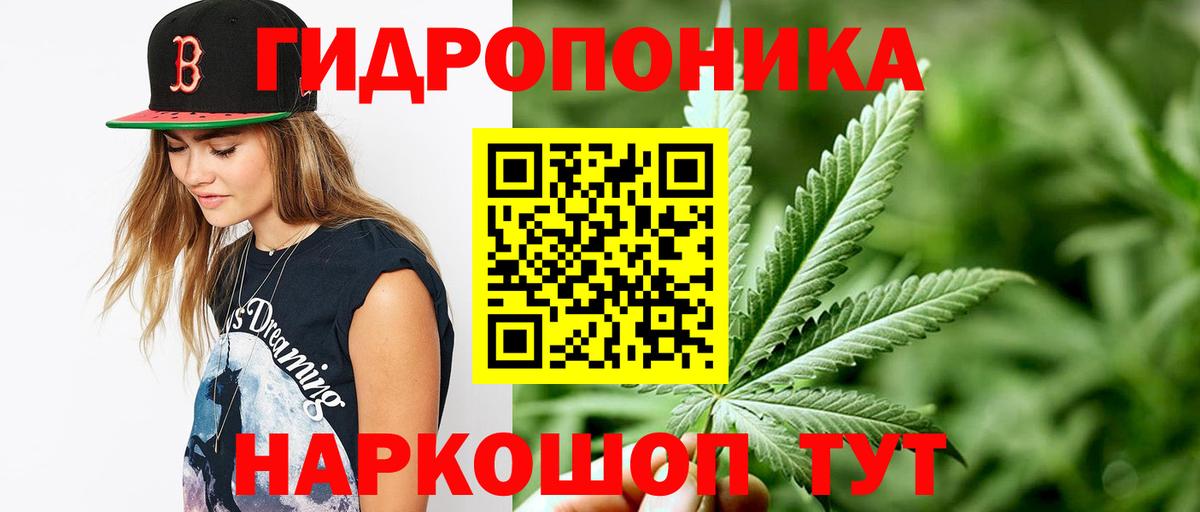 Марихуана LSD WEED  МАРИХУАНА план  Александров  Вход с VPN  Шишки марихуана планчик 